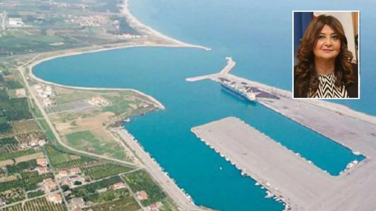 Porto di Corigliano, Straface (FI): «Il piano di Backer Hughes va valutato senza pregiudizi»
