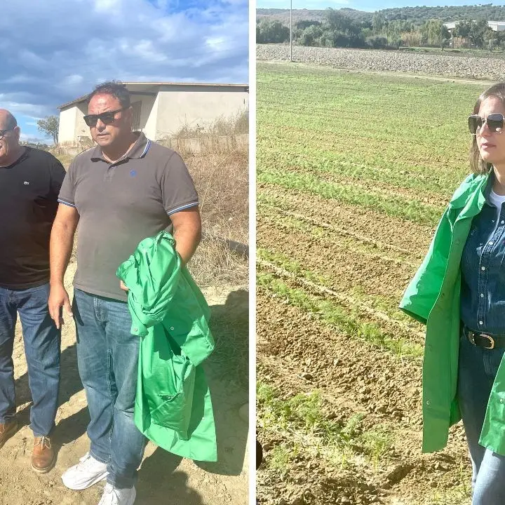 Agricoltura da amare, le angurie dell’azienda Turrà conquistano gli Emirati Arabi
