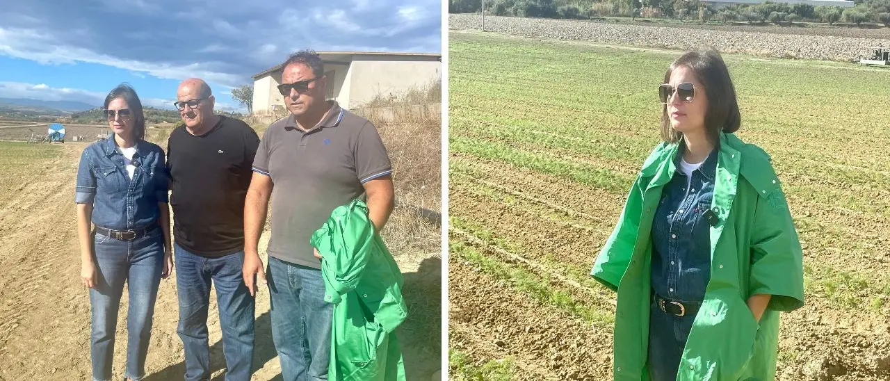 Agricoltura da amare, le angurie dell’azienda Turrà conquistano gli Emirati Arabi