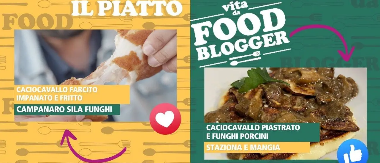 Vita da Food Blogger, caciocavallo impanato e fritto oppure piastrato e con porcini? Vota il tuo preferito