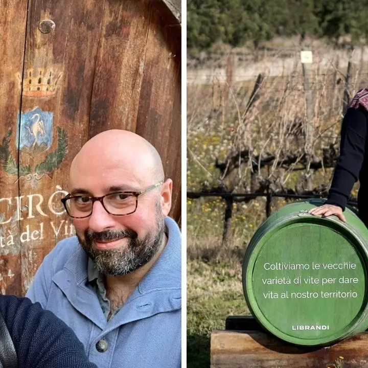 Il Cirò alla conquista della Docg, l’esperto: «È l’ingresso nel gotha del vino, effetti su tutta la vitivinicoltura calabrese»