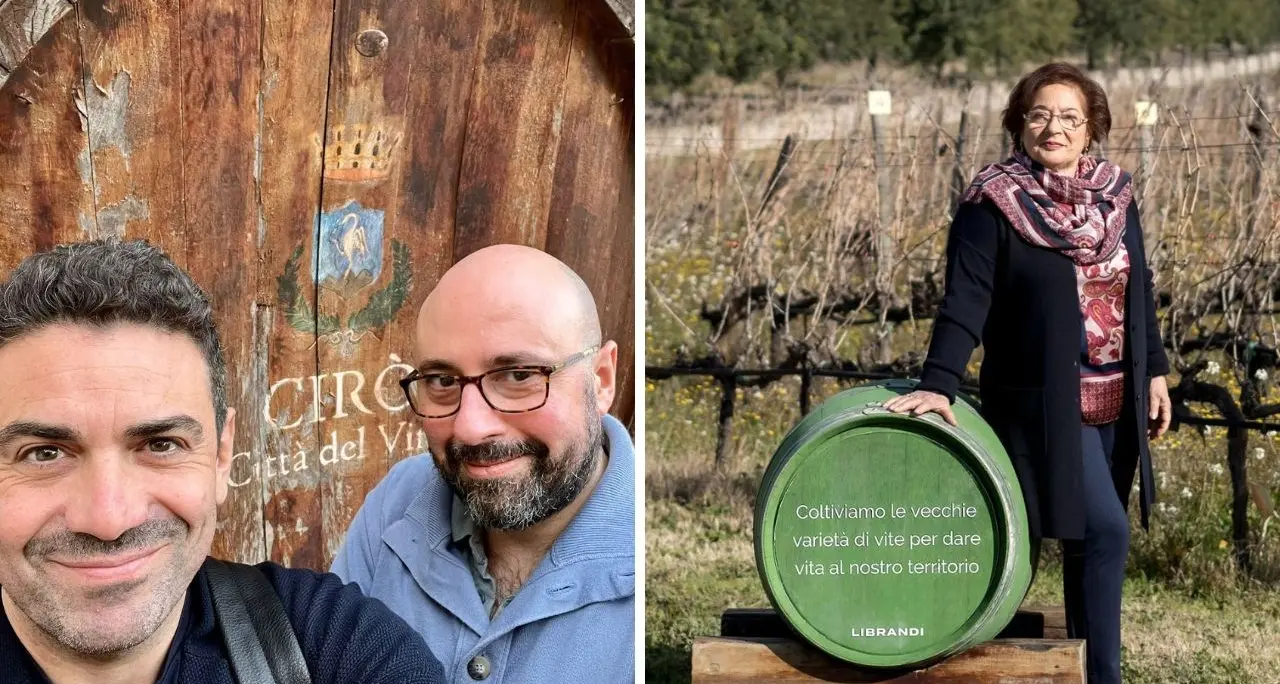 Il Cirò alla conquista della Docg, l’esperto: «È l’ingresso nel gotha del vino, effetti su tutta la vitivinicoltura calabrese»