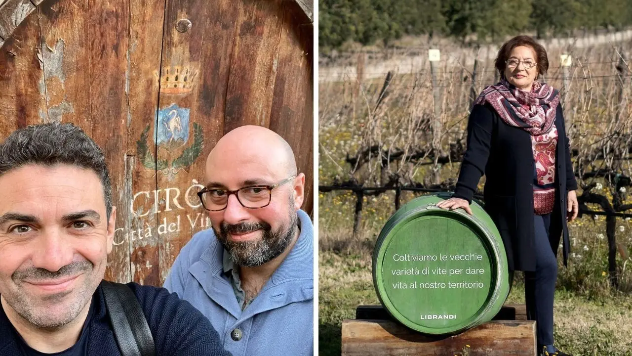 Il Cirò alla conquista della Docg, l’esperto: «È l’ingresso nel gotha del vino, effetti su tutta la vitivinicoltura calabrese»