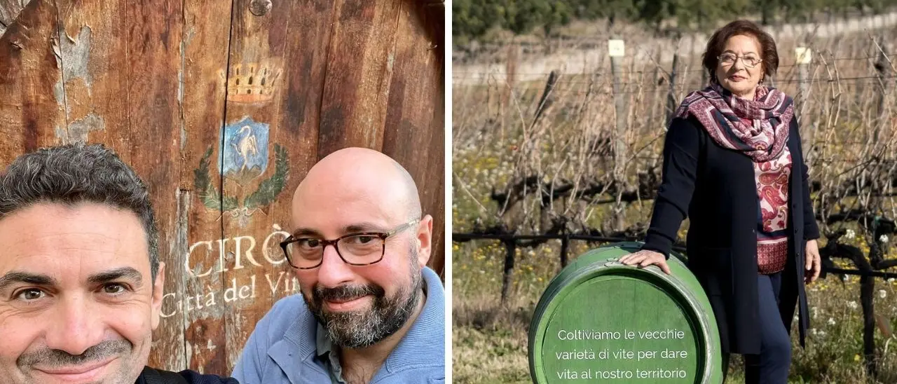 Il Cirò alla conquista della Docg, l’esperto: «È l’ingresso nel gotha del vino, effetti su tutta la vitivinicoltura calabrese»