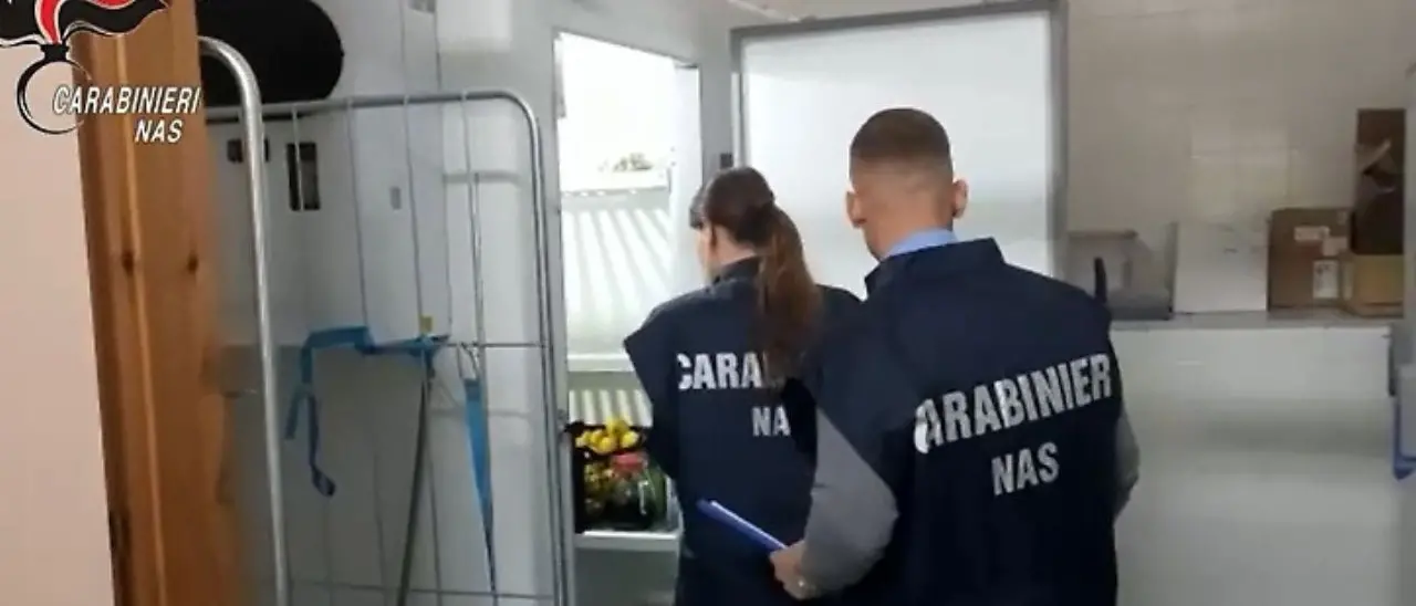 Cibi scaduti e pasti preparati in locali sporchi tra gli escrementi di topi: blitz dei Nas nelle mense scolastiche