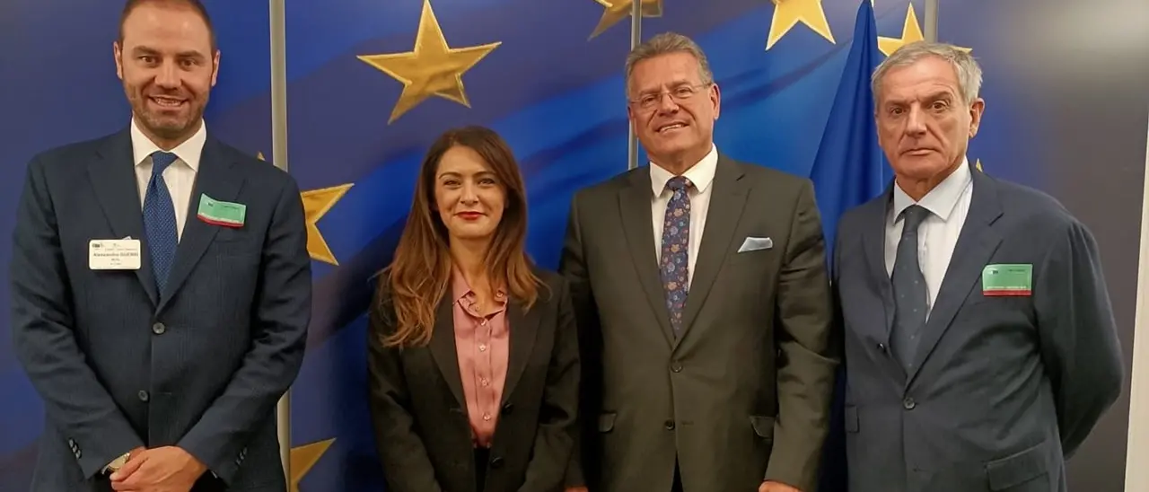 L’Ue pensa a una misura per proteggere il porto di Gioia Tauro, Picierno e Agostinelli incontrano Commissario a Bruxelles