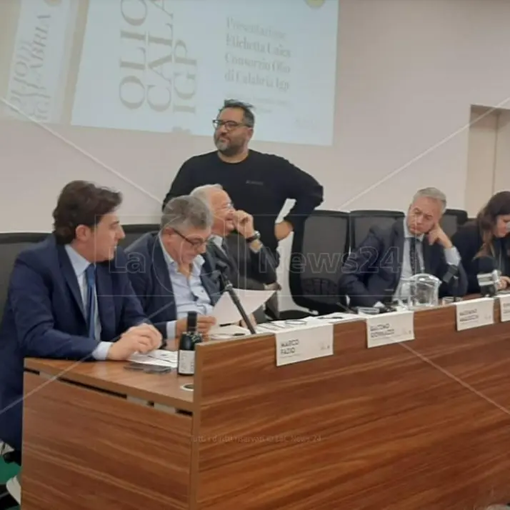 Presentato il marchio unico per l’olio igp calabrese: così le aziende sono pronte a puntare sull’alta qualità