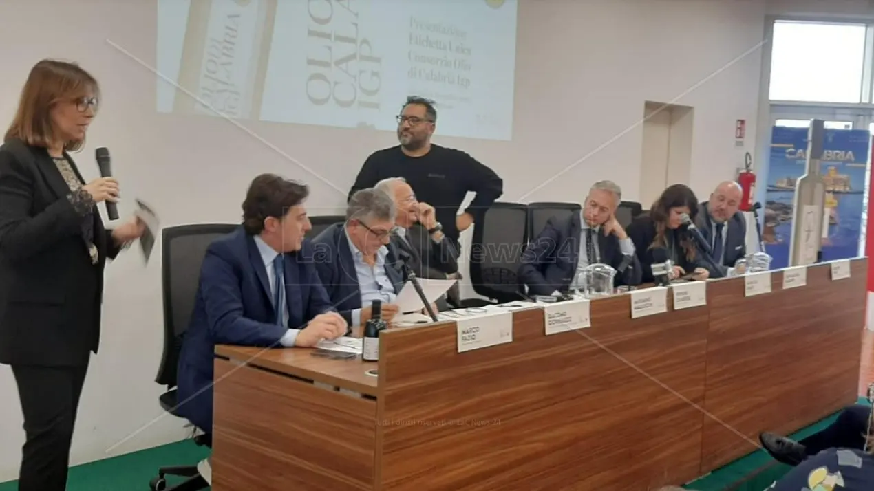 Presentato il marchio unico per l’olio igp calabrese: così le aziende sono pronte a puntare sull’alta qualità