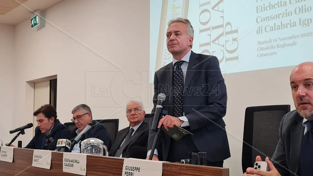 La Calabria e la sfida dell’Olio extravergine d’oliva certificato Igp. Enormi le potenzialità, ma c’è tanto da lavorare