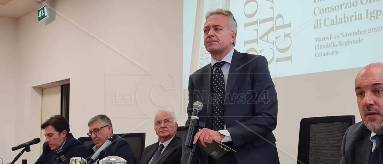 La Calabria e la sfida dell’Olio extravergine d’oliva certificato Igp. Enormi le potenzialità, ma c’è tanto da lavorare