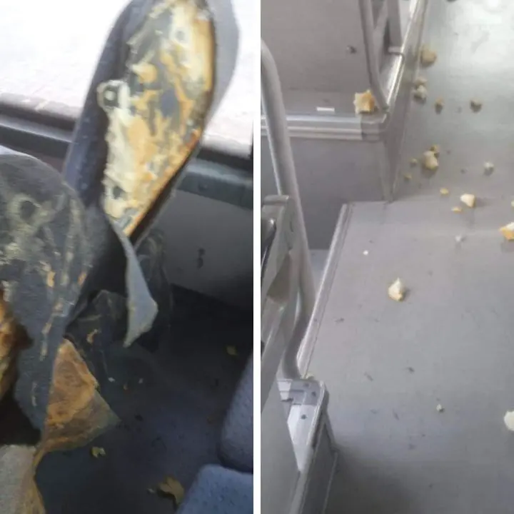 Vandali in azione su un autobus di linea Palmi-Gioia Tauro: danneggiata la tappezzeria dei sedili