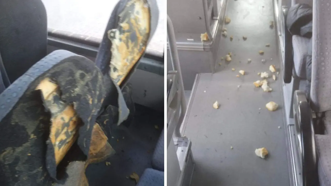 Vandali in azione su un autobus di linea Palmi-Gioia Tauro: danneggiata la tappezzeria dei sedili