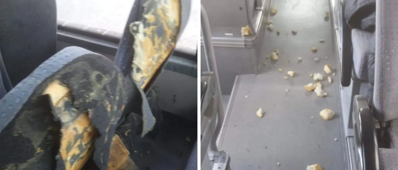 Vandali in azione su un autobus di linea Palmi-Gioia Tauro: danneggiata la tappezzeria dei sedili