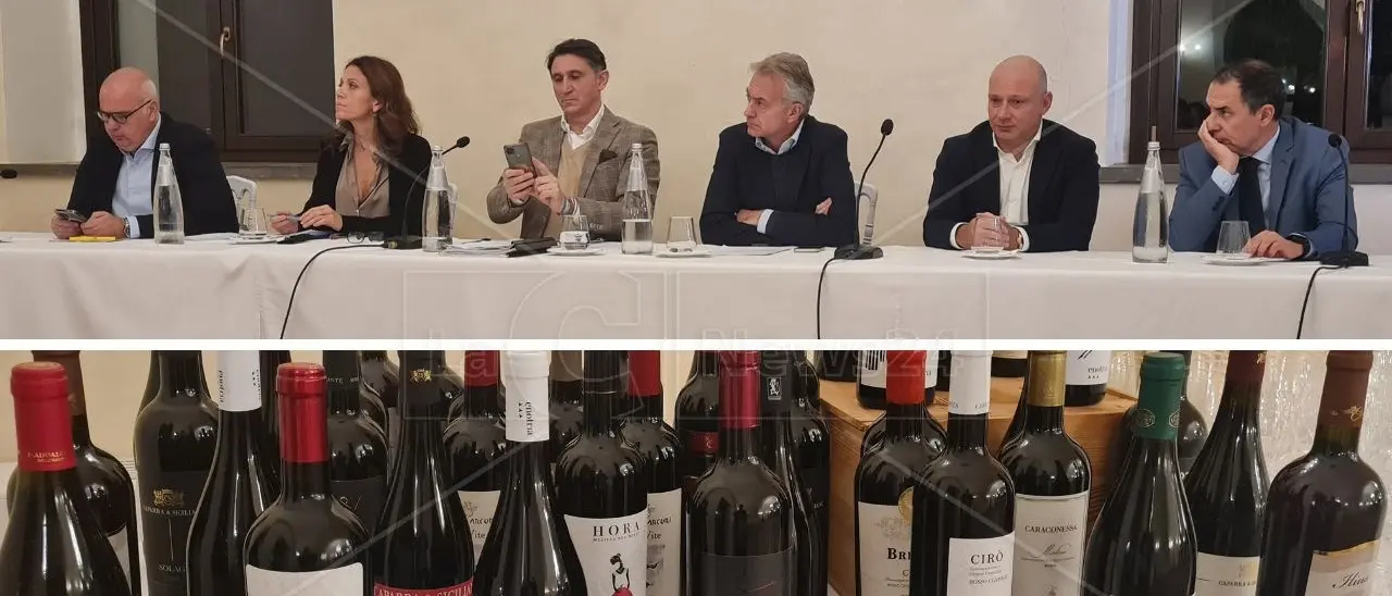 Dal Cirotano un sì corale alla nascita della Docg: che cosa cambierà e con quali obiettivi strategici. Tra radici del Gaglioppo e storia identitaria