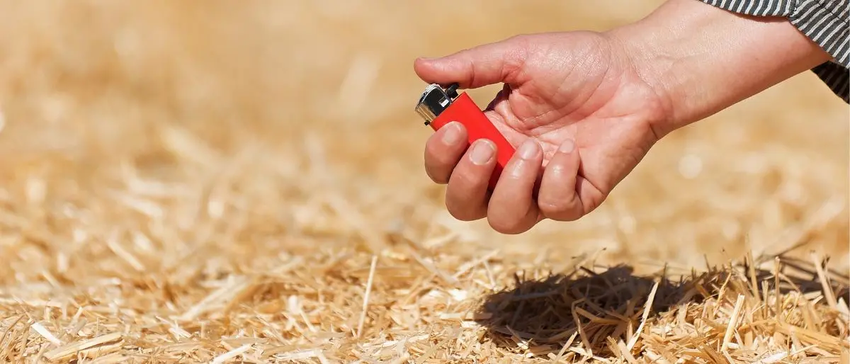 Sorpresi ad appiccare incendi boschivi, tre persone denunciate nel Reggino