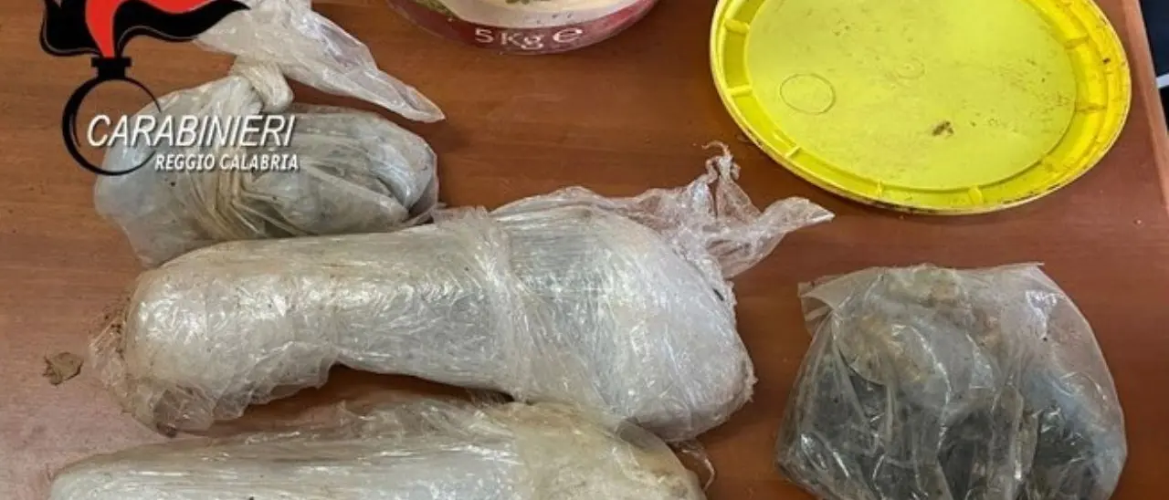 Scoperte dai carabinieri armi e munizioni in un terreno nel Reggino