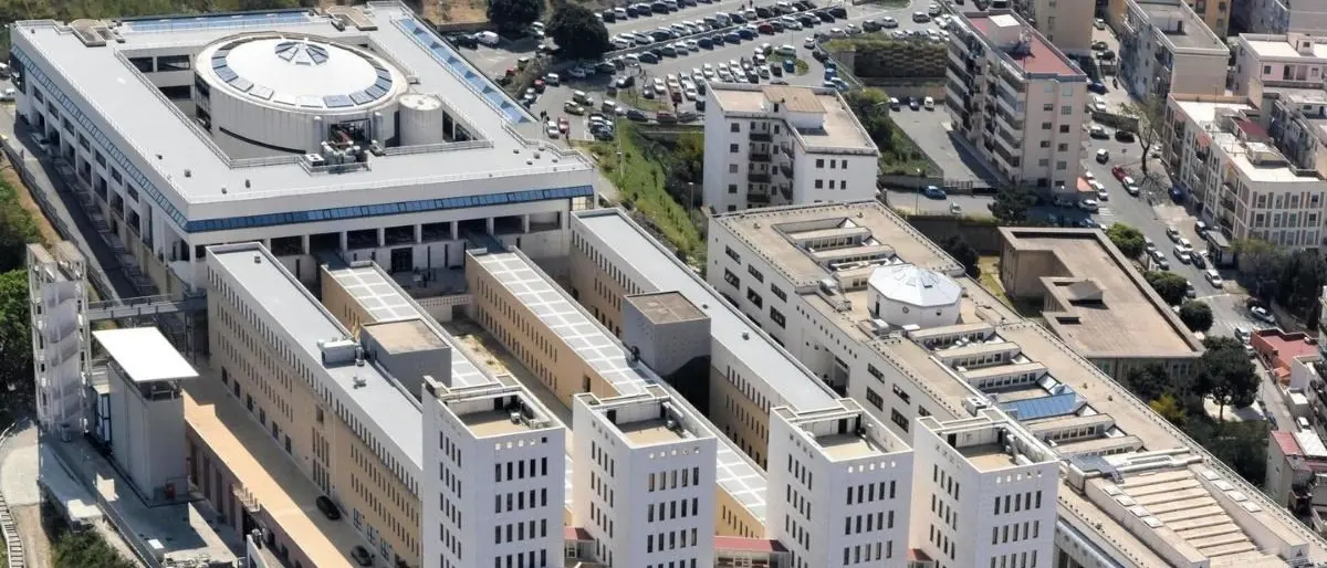 Parte da Reggio Calabria e Bergamo l’Erasmus italiano, il ministro: «L’idea è creare mobilità da Nord a Sud»