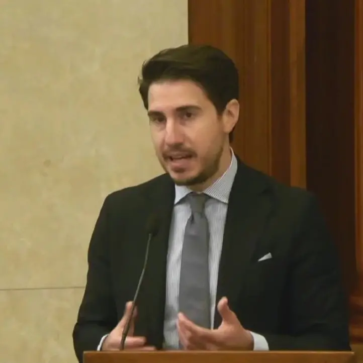 Cervelli in fuga ma non fessi, ingegnere calabrese parla in Senato: «Traditi dal Governo che ha tagliato gli sgravi per chi ritorna»