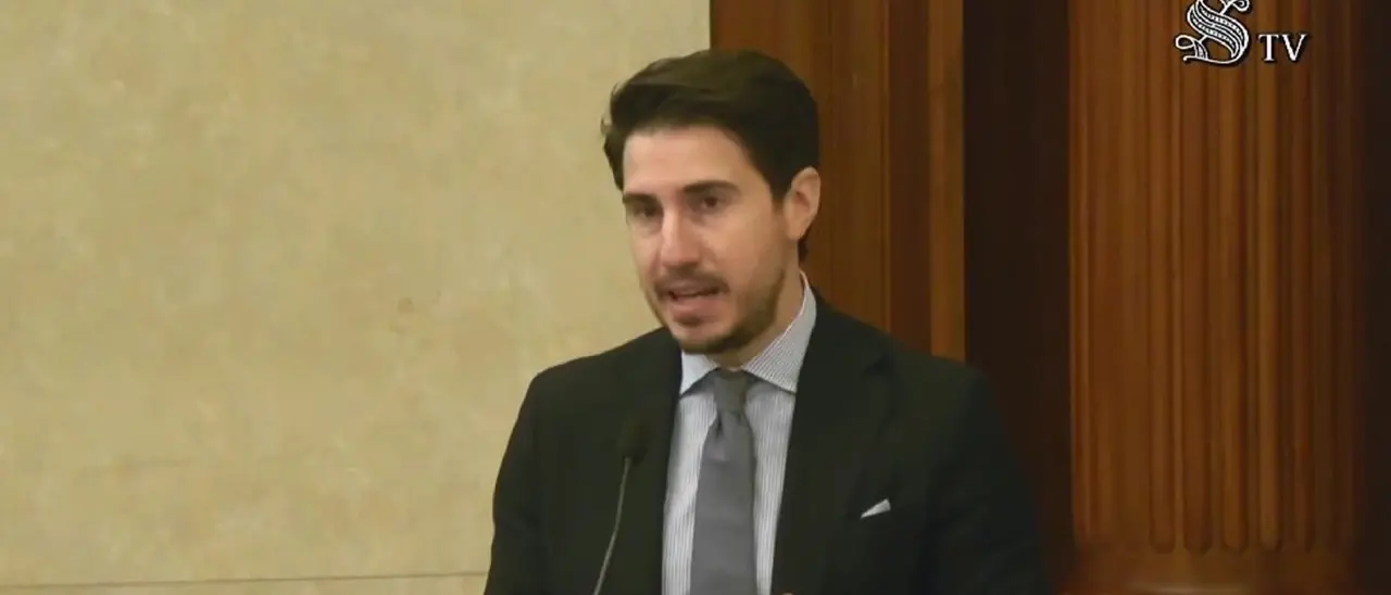 Cervelli in fuga ma non fessi, ingegnere calabrese parla in Senato: «Traditi dal Governo che ha tagliato gli sgravi per chi ritorna»