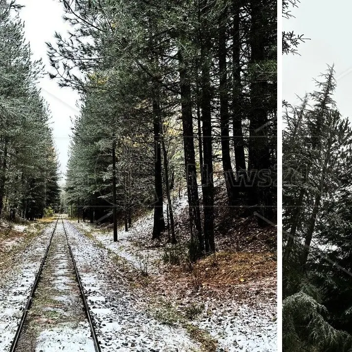 Prima neve in Calabria, i fiocchi imbiancano le vette della Sila e il Pollino: ecco le immagini