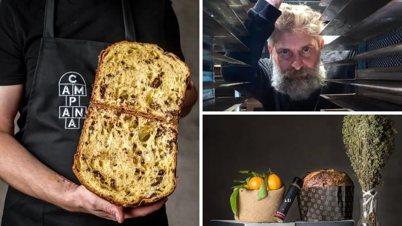 Clementine, origano e olio della Piana di Sibari rivoluzionano il panettone: nasce “U sibbaresi”