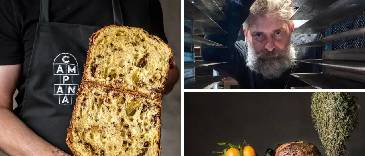 Clementine, origano e olio della Piana di Sibari rivoluzionano il panettone: nasce “U sibbaresi”