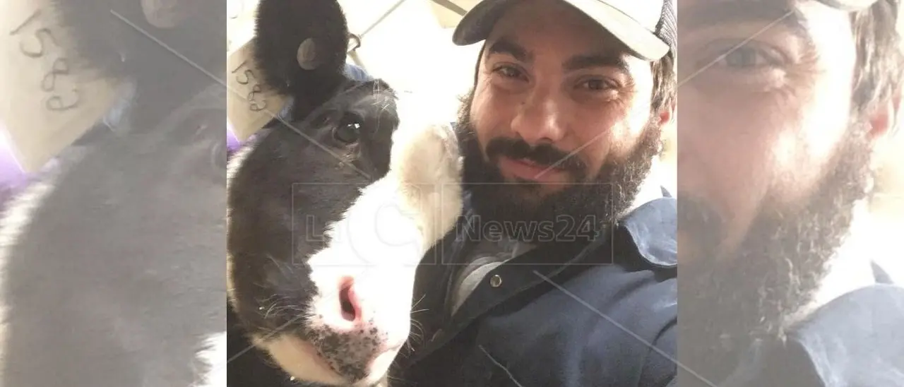 Dall’allevamento di famiglia nel Vibonese al gotha europeo delle scienze animali per coniugare zootecnia e ambiente