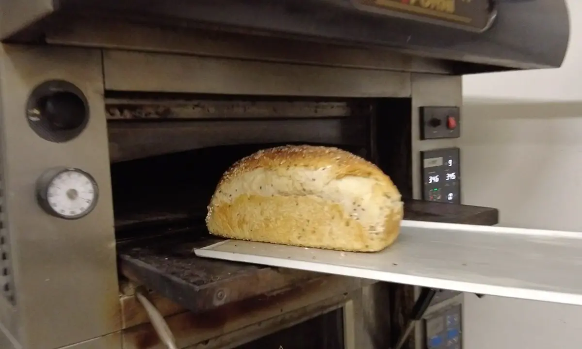 «Senza aiuti tra due mesi rischia di sparire il pane artigianale, si perderanno oltre 5mila posti di lavoro»