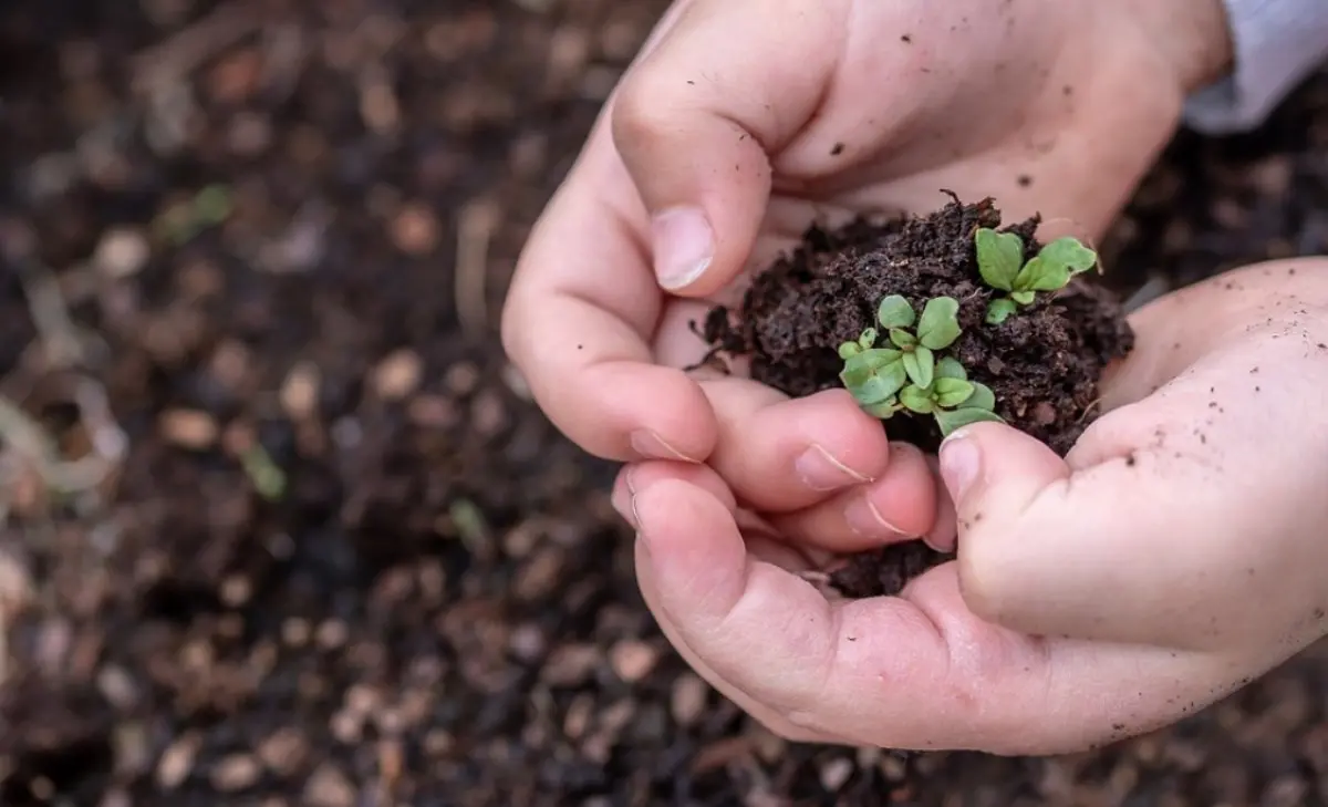 Spreco e tutela dell’ambiente al centro della Giornata per la custodia del Creato