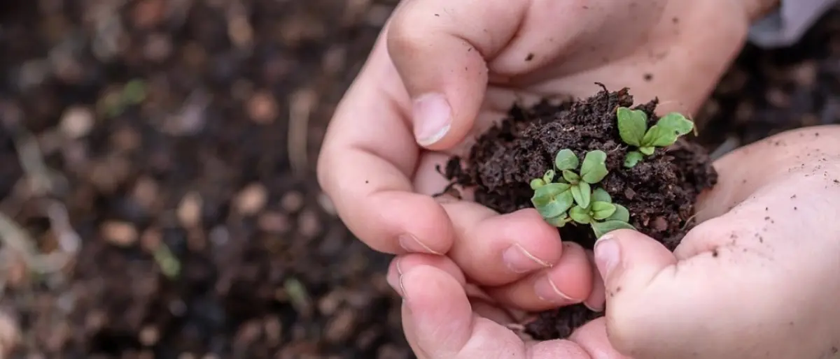 Spreco e tutela dell’ambiente al centro della Giornata per la custodia del Creato