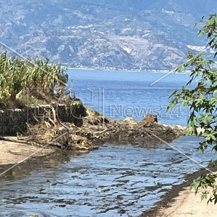 Reggio Calabria libera dai canneti: bonificata la foce del torrente Calopinace