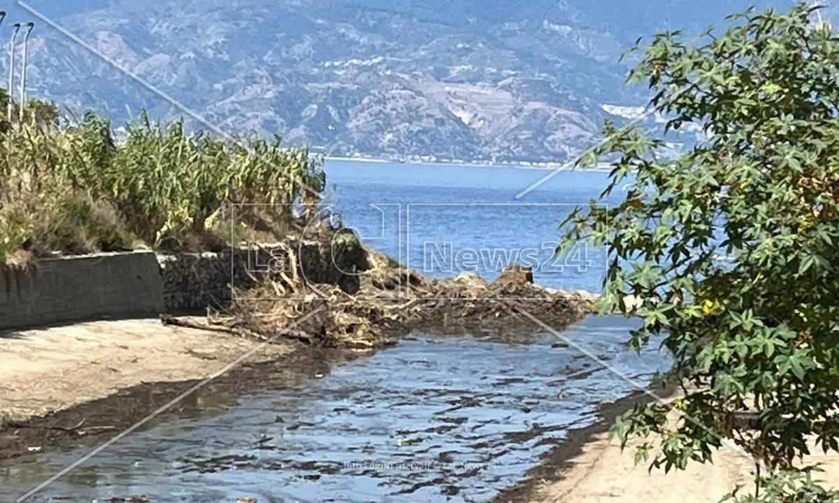 Reggio Calabria libera dai canneti: bonificata la foce del torrente Calopinace