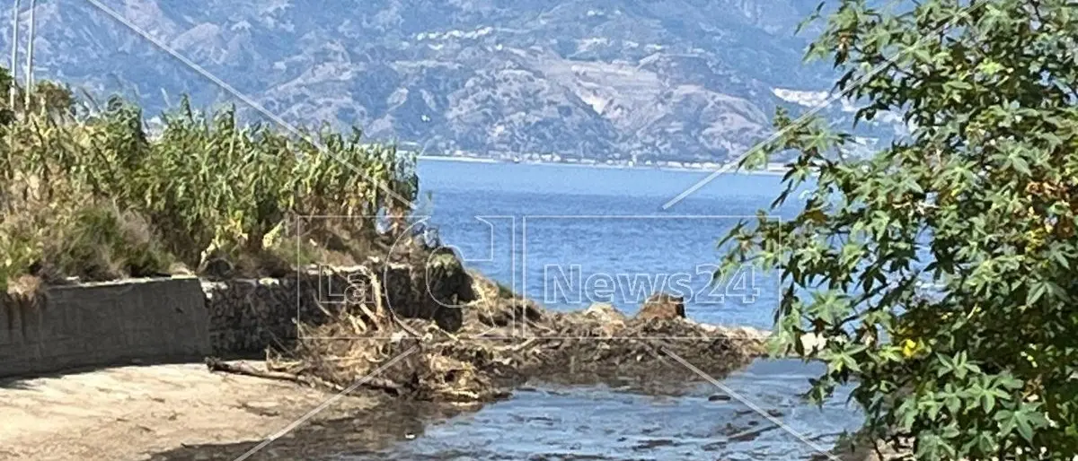 Reggio Calabria libera dai canneti: bonificata la foce del torrente Calopinace