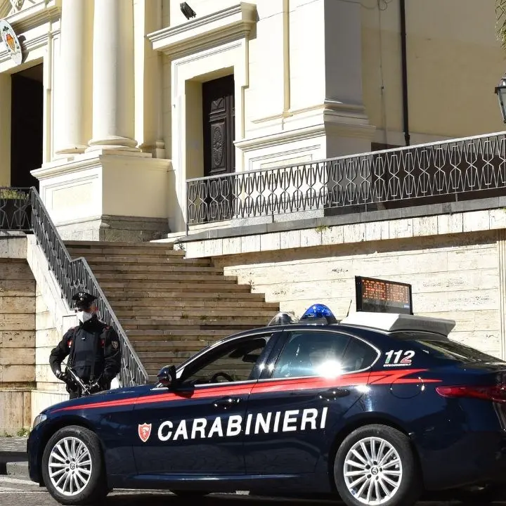 Lamezia Terme, scovate e sequestrate 35 piante di marijuana: arrestate 2 persone sorprese sul posto