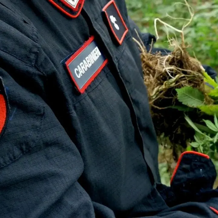 Palmi, otto chili di marijuana suddivisa in dosi nascosta in un sacco: arrestato 58enne