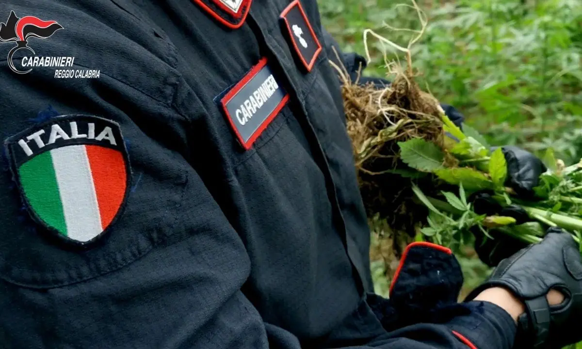 Palmi, otto chili di marijuana suddivisa in dosi nascosta in un sacco: arrestato 58enne