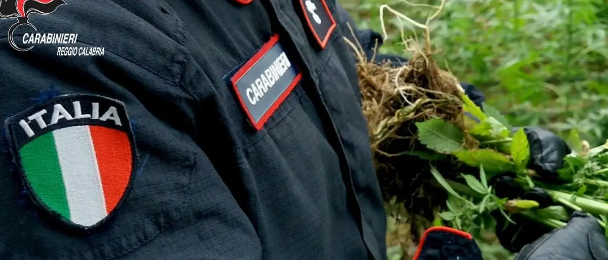 Palmi, otto chili di marijuana suddivisa in dosi nascosta in un sacco: arrestato 58enne