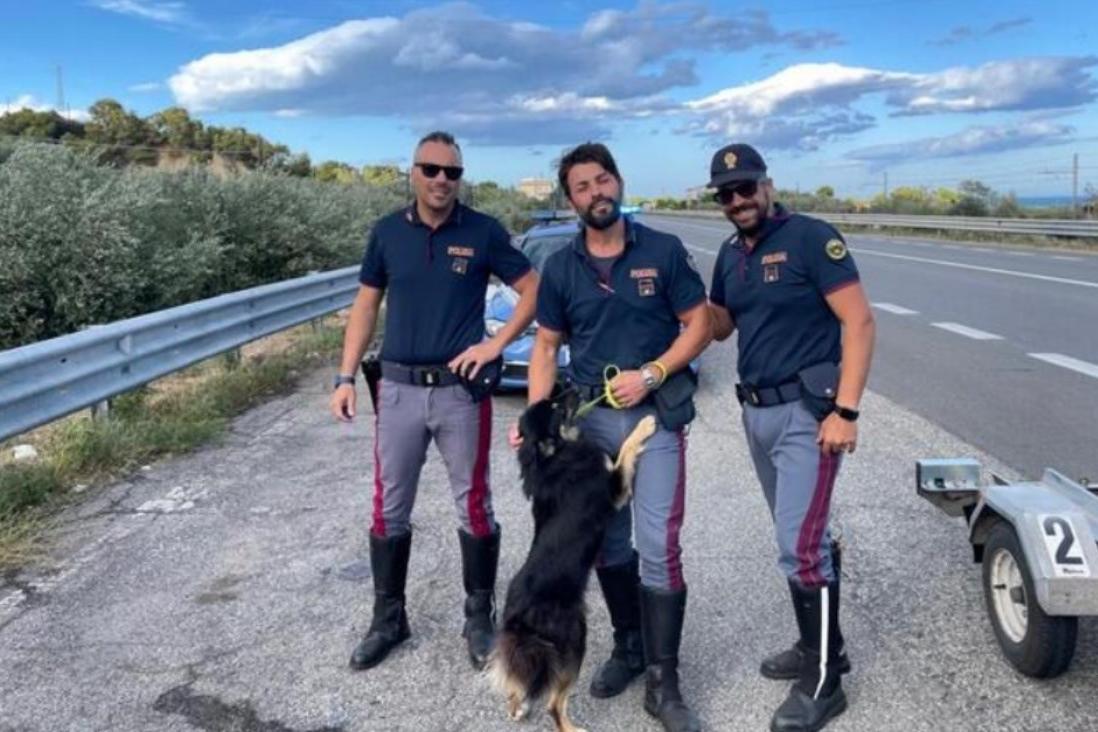 Poliziotto salva un cane abbandonato e chiede di poterlo adottare