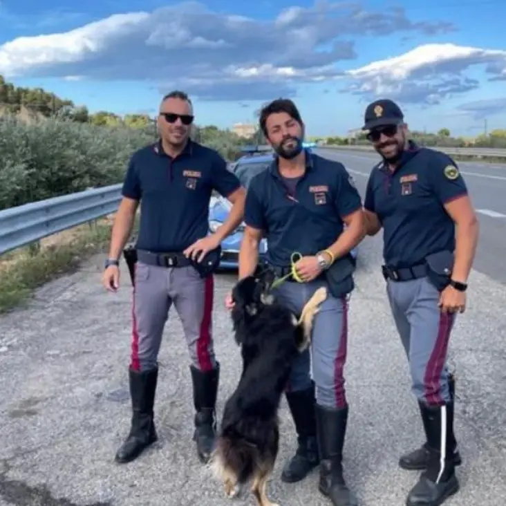 Nel Cosentino poliziotto salva un cane abbandonato e chiede di poterlo adottare