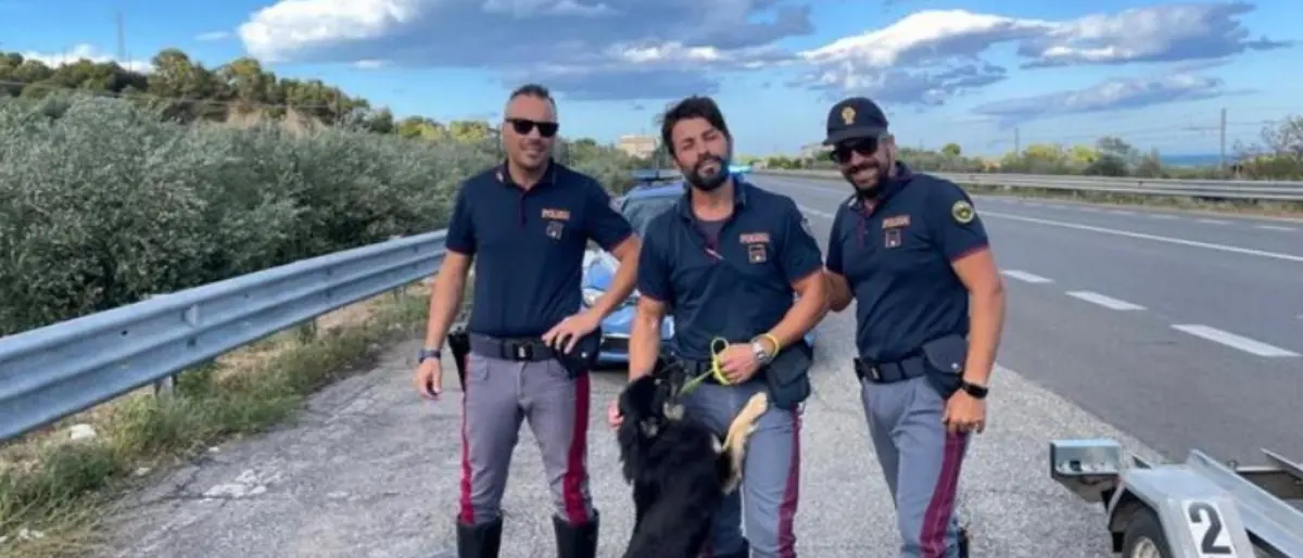 Nel Cosentino poliziotto salva un cane abbandonato e chiede di poterlo adottare
