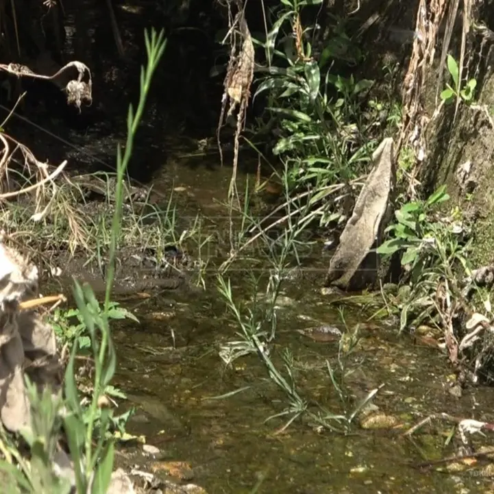 Un sindaco della Locride ammette: «Sversiamo i liquami fognari nelle fiumare»