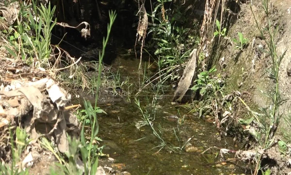 Un sindaco della Locride ammette: «Sversiamo i liquami fognari nelle fiumare»