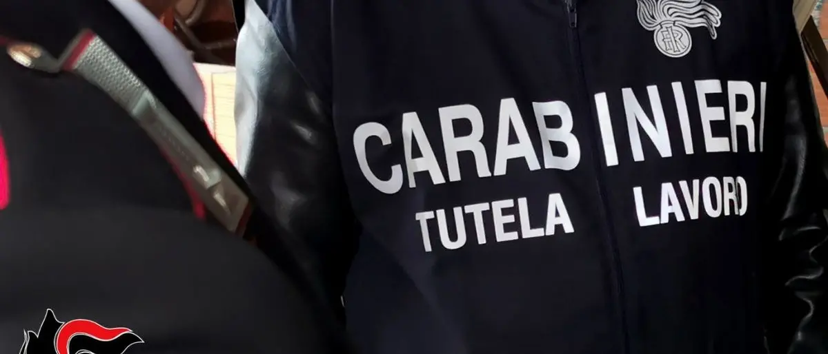 Furbetti del Reddito di cittadinanza, lavoro nero e reati ambientali: sanzionate 6 attività di Taurianova