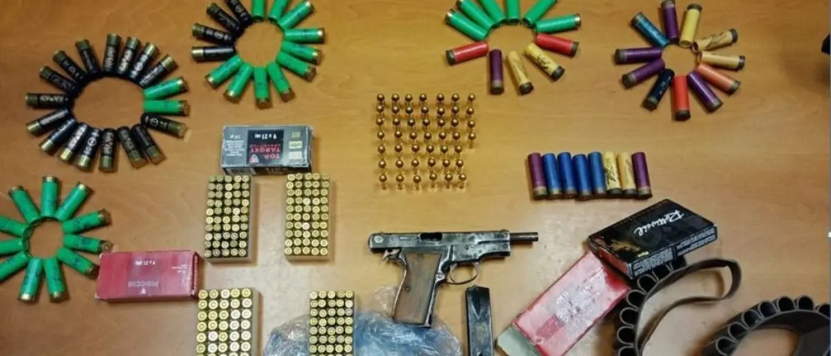 Nascondevano in casa armi con matricola abrasa: arrestati due coniugi a Tropea