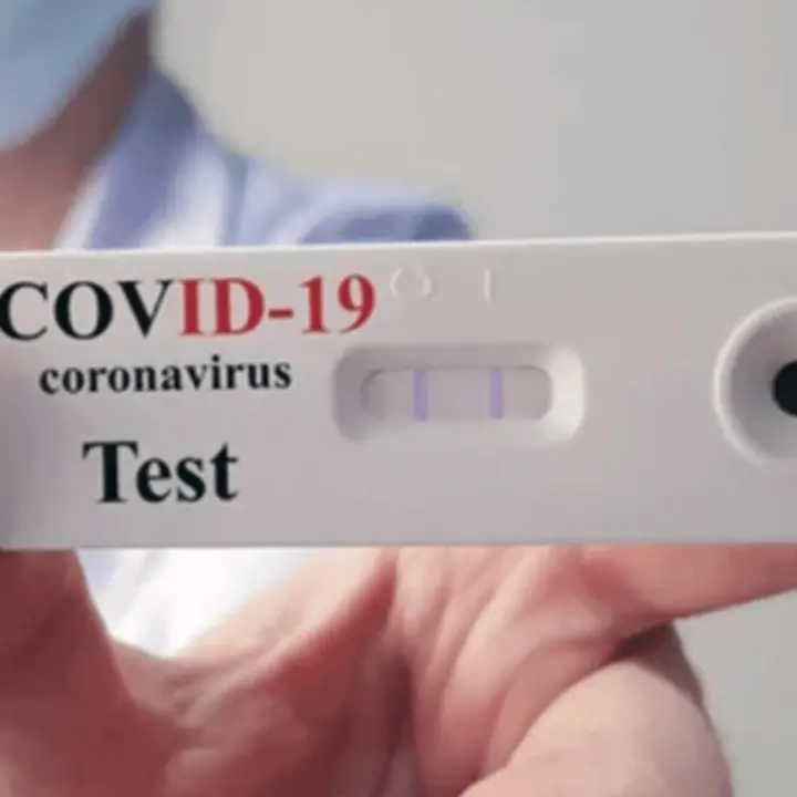 Covid, in Calabria contagi stabili e nessun morto: 536 nuovi positivi e 810 guariti