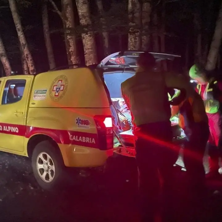 Anziano va per funghi e scompare nel Cosentino, al via le ricerche tra i boschi della Sila