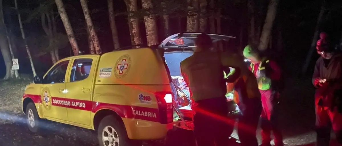 Anziano va per funghi e scompare nel Cosentino, al via le ricerche tra i boschi della Sila