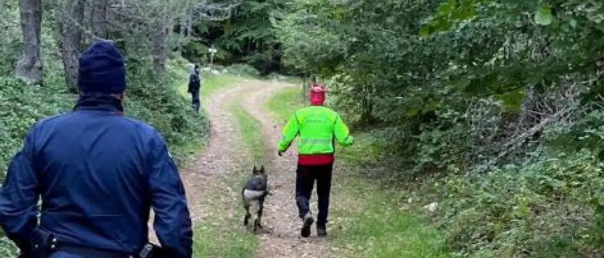 Ritrovato l’anziano scomparso nel Cosentino mentre cercava funghi: sta bene