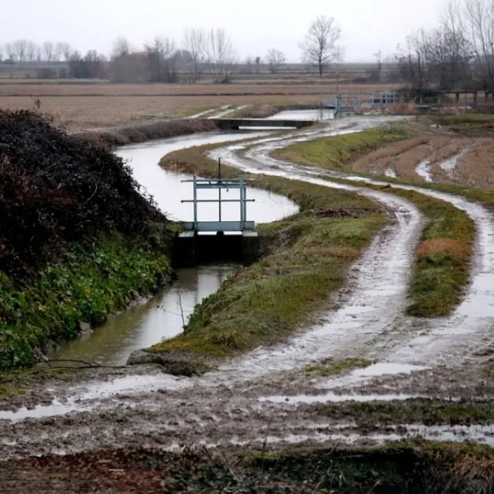 Il maltempo devasta le campagne, Coldiretti: «Terreni sott’acqua e produzioni a rischio»