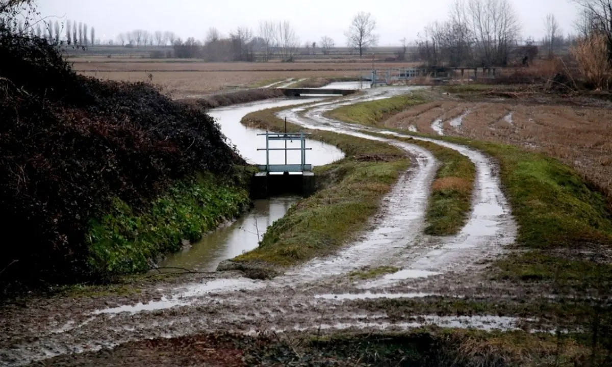 Il maltempo devasta le campagne, Coldiretti: «Terreni sott’acqua e produzioni a rischio»